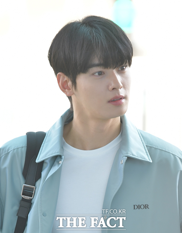 200억 원대 탈세 의혹을 받고 있는 배우 차은우가 각종 광고에서 연달아 퇴출당하고 있다./더팩트DB