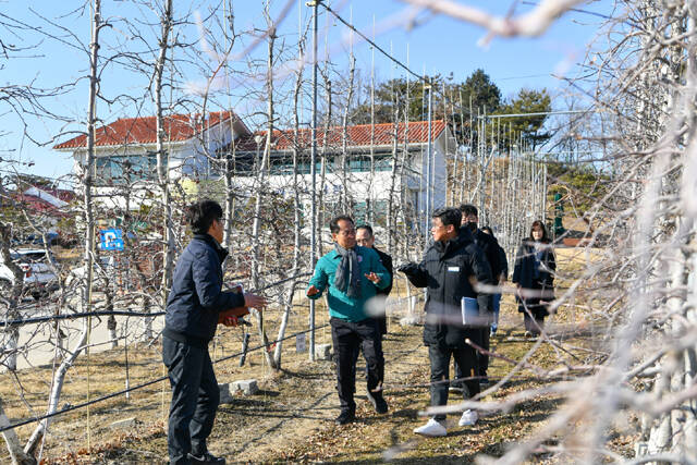 엄태현 영주시장 권한대행을 비롯한 관련 부서장들이 과수시험장을 방문해 둘러보고 있다. /영주시