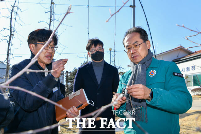 엄태현 영주시장 권한대행(온른쪽)의 농업기술센터 내 과수시험장 현장 방문에서 나동열 과수연구팀장이 과수 신품종 연구 현황에 대해 설명하고 있다./ 영주시