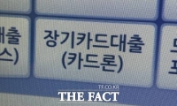  '연 17%' 카드론 금리 더 오른다…중저신용차주 부담 가중 '진땀'