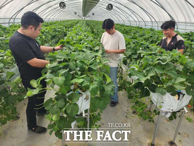 지난해 신규 농업인 현장실습 교육 현장. /당진시