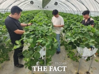  당진시, 2026년 신규 농업인 현장실습 교육 연수생 모집