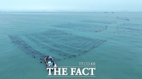  완도군, '해조류·전복 산업 고도화'로 기후 위기 대응