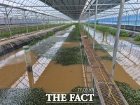  녹조를 사료로?…전북도, 국립생태원과 토하 양식기술 특허 출원