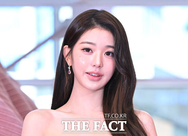 인기 아이돌 그룹 아이브 멤버 장원영 씨 등을 악의적으로 비방한 이른바 사이버렉카 유튜버에게 유죄가 확정됐다./이새롬 기자