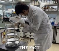  금산군농업기술센터, 올해 인삼 뿌리썩음병 검정 전개