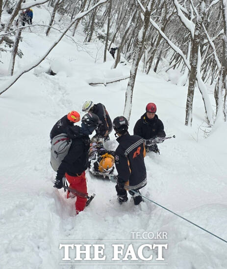 30일 오후 3시 29분쯤 울릉군 북면 미륵봉 7부 능선 인근에서 설산등반객이 하산 중 다리가 골절돼 119 구조대가 인근 주민이 지원한 궤도차량(무한궤도차)으로 구조하고 있다. /포항남부소방서