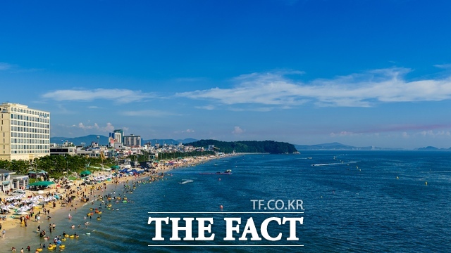 충남 보령시 대천해수욕장 전경. /보령시