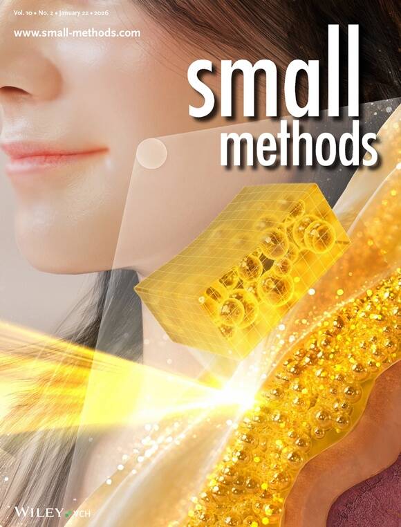 아모레퍼시픽이 화장막의 3차원 미세구조를 비파괴 정량 분석했다. /아모레퍼시픽