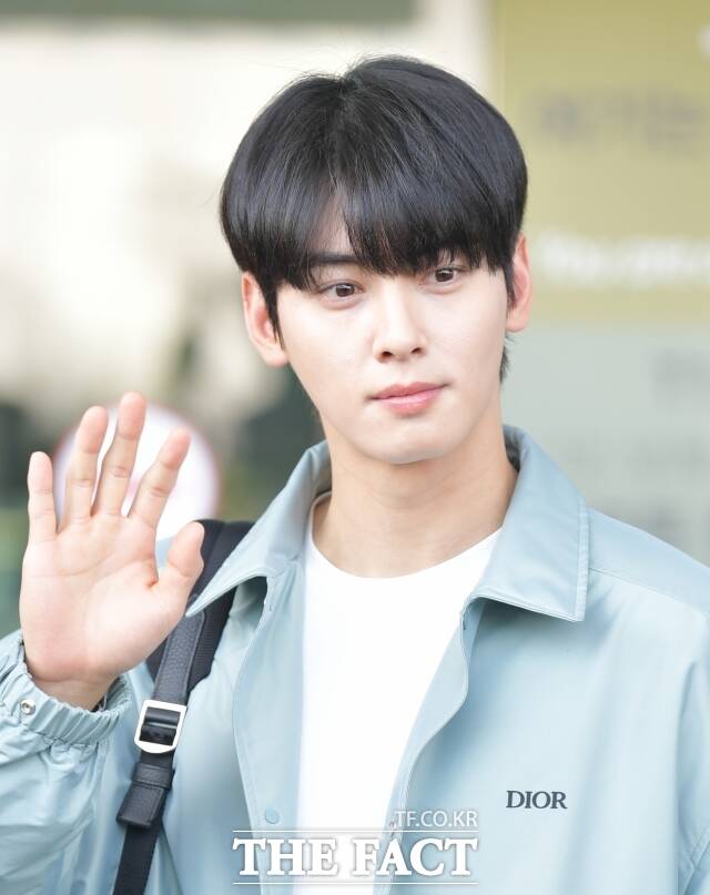 오랜 시간 반듯한 청년, 흠 없는 이미지의 상징으로 소비돼온 차은우는 광고주가 믿고 맡기고, 팬들이 신뢰로 지켜본 이름이다. 이 때문에 200억 원대 세금 논란 자체만으로 단순한 행정 분쟁으로 축소되기 어렵다. /더팩트 DB