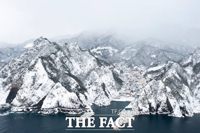 은빛 설국 울릉도. /김성권 기자