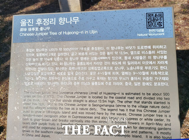 울진군 후정리의 향나무 안내 표지판. /김성권 기자