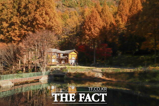 논산시 온빛자연휴양림. /논산시