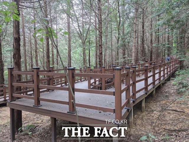 전주시 건지산 무장애 나눔길 모습. /전주시