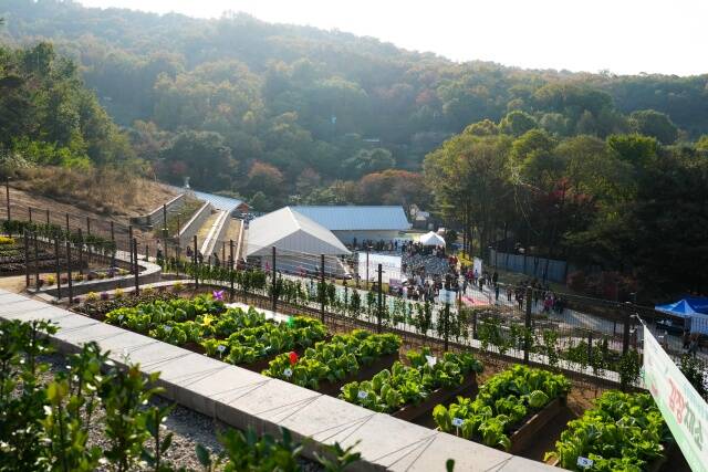 서울시가 올해 9016구획의 공영텃밭(자투리텃밭)을 분양한다. /서울시