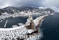  울릉도, 대설주의보 발효…적설 20cm 육박, 여객선은 정상 운항