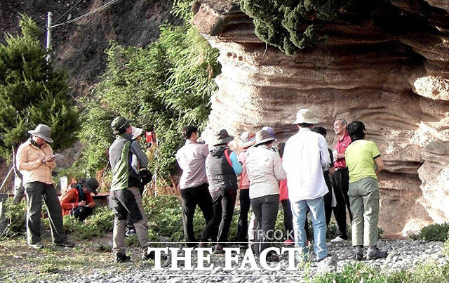 카드업계가 국내 관광 분야에서 정부·공공기관과의 협업을 확대했다. /더팩트 DB