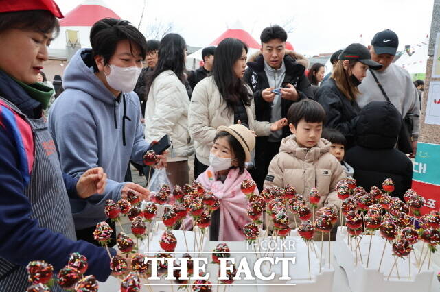 지난해 열린 논산딸기축제 장면. /논산시