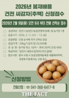  당진시, 봄 재배용 '추백' 씨감자 2t 관내 농가에 공급…선착순