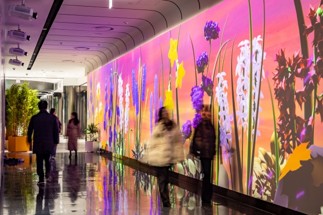 서울시는 시청 지하 1~2층 공간을 전면 개편해 오는 5일 공식 개관한다. /서울시