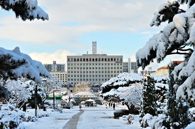 부천시청 전경. /부천시
