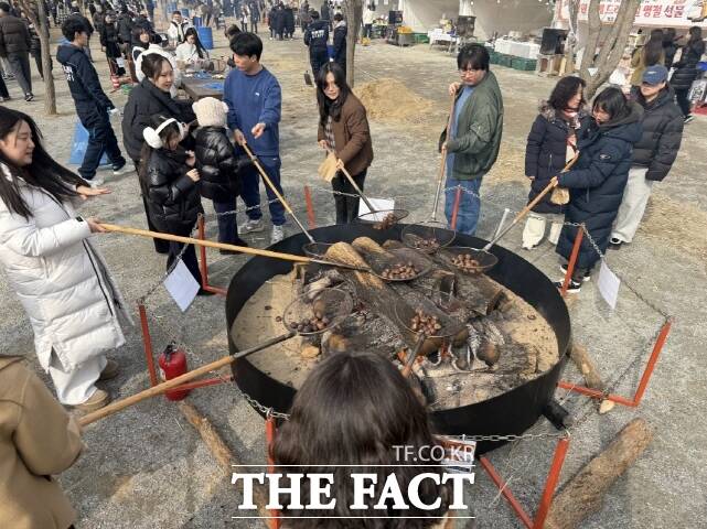 관람객들이 대형 화로에서 군밤을 굽고 있다. /김형중 기자