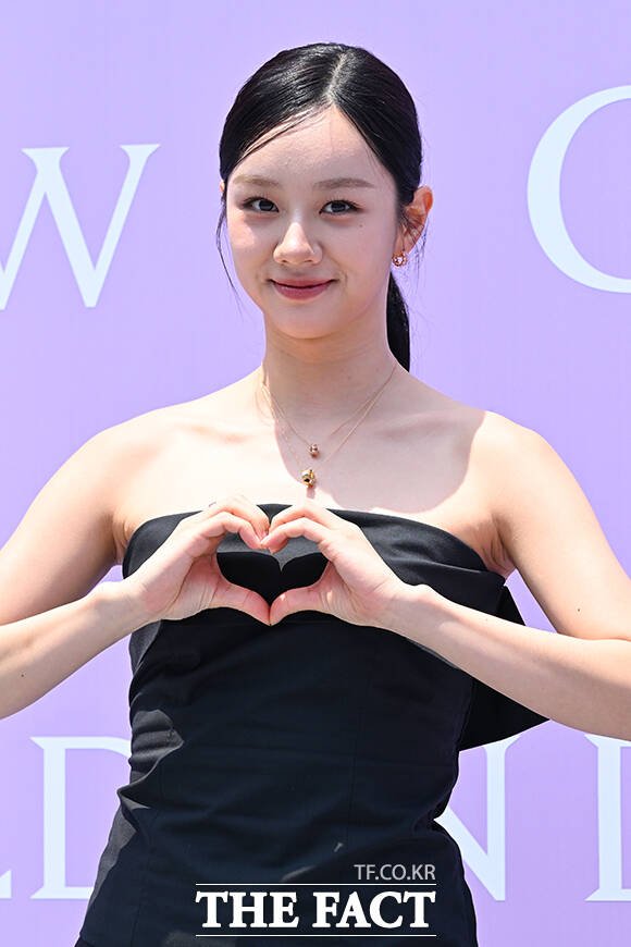 가수 겸 배우 혜리가 악플러들을 상대로 강경 대응에 나서고 있는 가운데 형사 고소 진행 상황을 알렸다. /서예원 기자