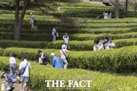  보성군, '보성다향대축제' 로컬 100 선정