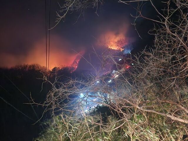 경북 경주 양남면과 문무대왕릉면 일대에서 발생한 산불이 야간 진화 작업으로 불길을 잡아가고 있다. /산림청