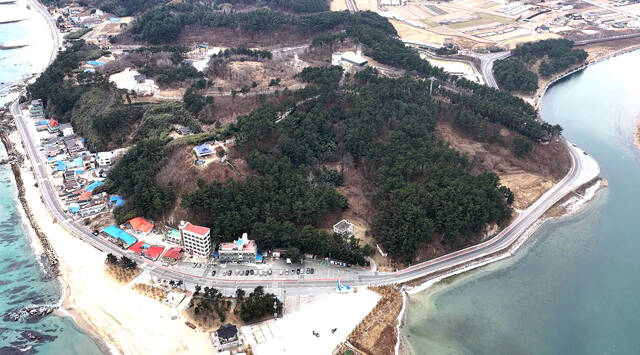 오션리조트 건립 예정부지. /울진군