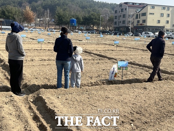 복용동 공영도시농업농장 운영 모습. /대전시