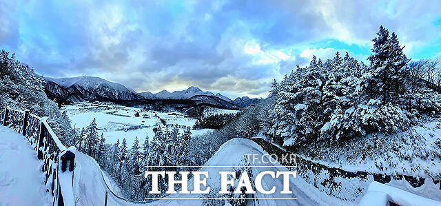 나리분지 설경. /울릉군