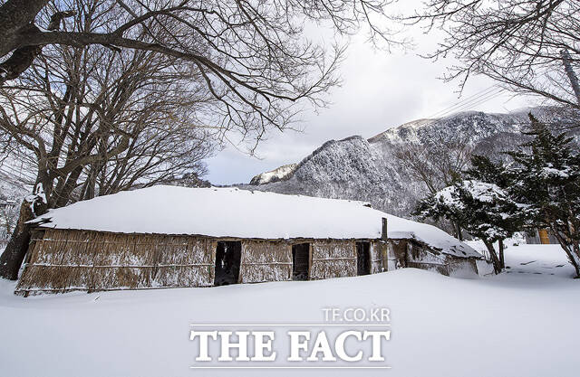 나리분지 투막집. /울릉군