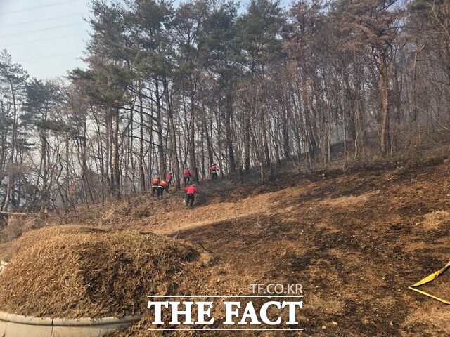 9일 오전 경주 문무대왕면 산불 현장에서 당국이 잔불 진화 작업을 벌이고 있다. /경주시
