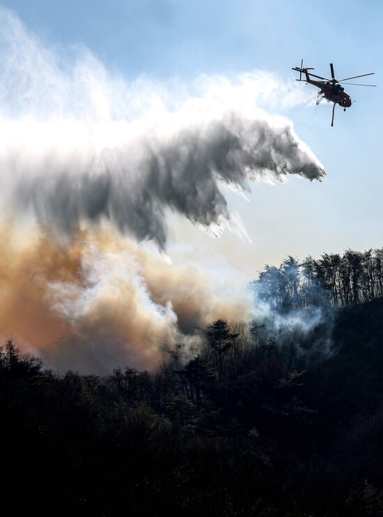 8일 오후 경주 문무대왕면 입천리 산불을 끄기 위해 출동한 소방헬기가 진화 작업을 벌이고 있다. /뉴시스