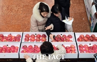  사과 선물세트 살펴보는 정부서울청사 직원들 [포토]