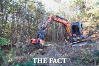  태안군, 푸른 산 지키기 위한 '소나무재선충병 확산 방지' 총력