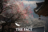  '꽃피는 순간, 꿈이 피어난다'...2026 화엄사 '홍매화' 사진콘테스트 개최