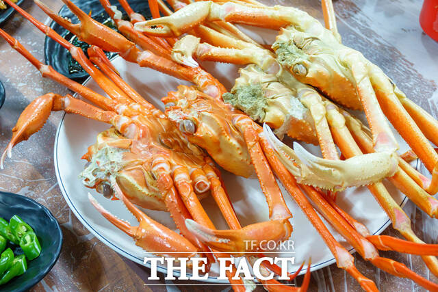 울진대게. /울진군
