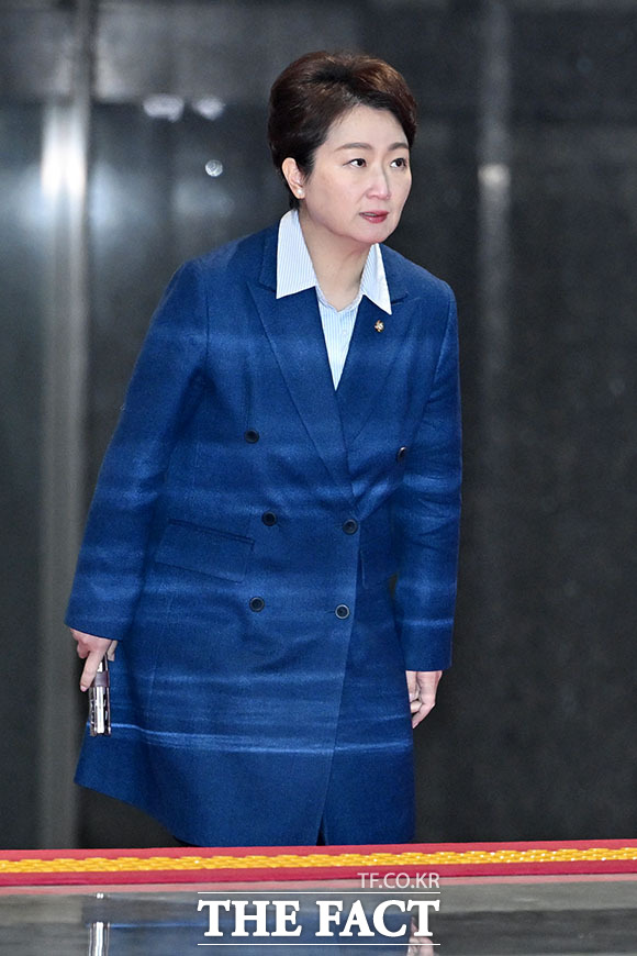 이언주 더불어민주당 의원.