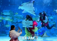  '코엑스 아쿠아리움에서 즐거운 설 명절 보내세요!' [포토]
