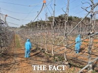  당진시, 과수화상병 전염원 예방 예찰 실시