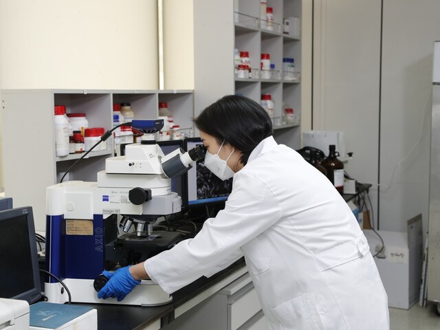 hy가 자체 개발한 특허 유산균 HY2782의 장 염증 예방 효과를 확인, 관련 논문을 SCI급 국제학술지에 게재됐다. /hy