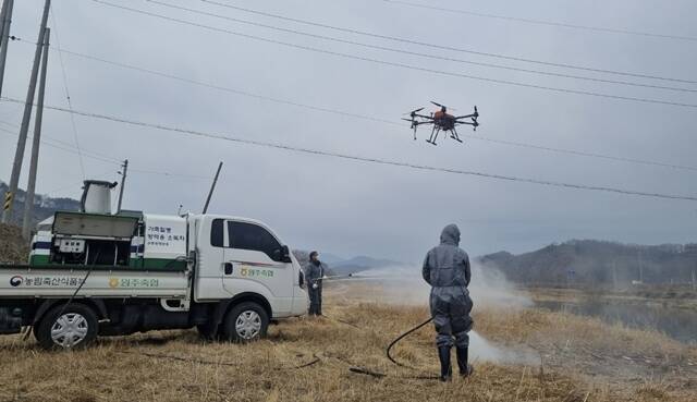 농협 강원본부 및 원주축협 공동방제단이 지난 10일 원주천 철새도래지에서 드론과 방역 차량을 활용해 축산 농가 주변을 정밀 소독하고 있다. /농협중앙회