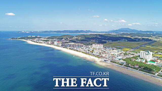 충남 보령시 대천해수욕장 전경. /보령시