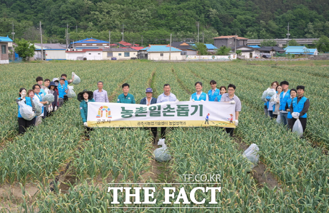 매터미 직원들이 공주시 정안면 한 농가에서 농번기 인력난 해소를 위해 마늘쫑 수확을 돕고 있다. /애터미
