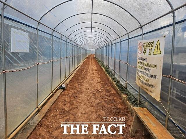 서울 서대문구 영천동 인근 고지대를 올라오면 황톳길 등 쉼터와 안산자락길을 이용할 수 있다. /김명주 기자