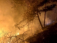  경북 북부서 잇단 주택 화재…1동 전소·2명 연기 흡입