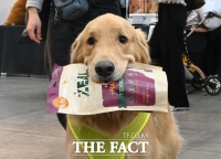  3가구 중 1가구 '반려동물' 키운다...월평균 양육비 12만1000원