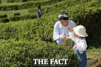  보성군, 제49회 보성다향대축제 '말차'로 승부수